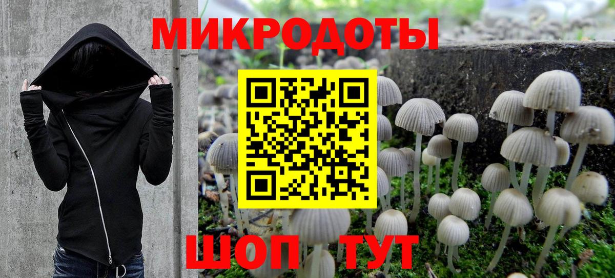 Тайшет  Галлюциногенные грибы ЛСД  Псилоцибиновые грибы Cubensis  Вход с VPN 