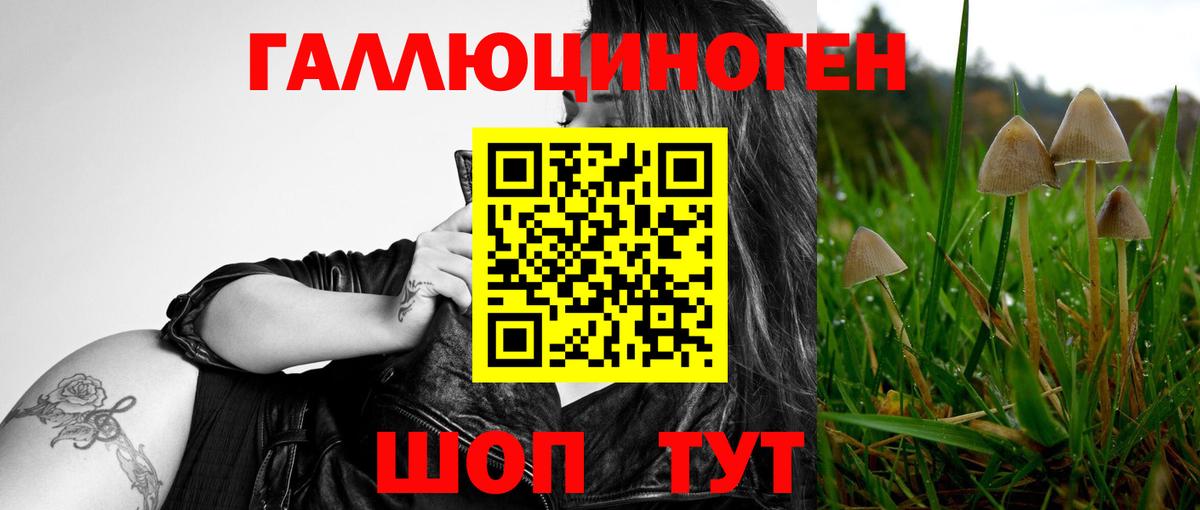 Псилоцибиновые грибы Magic Shrooms Тайшет